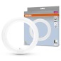 042621 TUBO CIRCULAR LED T9 G10Q 11W 4000K 212mm OSRAM