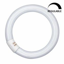 042706 TUBO CIRCULAR LED T9 G10Q 18,3W 6500K 300mm OSRAM