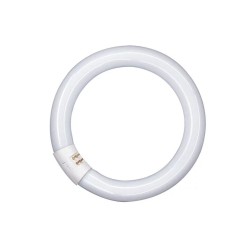581068 FLUORESCENTE CIRCULAR 22W 2700K OSRAM
