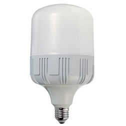 L3064HP5 LAMPARA LED ALTA POTENCIA 24W E27 6400K DURALAMP
