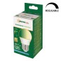 WOJ14380 LAMPARA ESFERICA LED REGULABLE E27 6W 6000K SPECTRUM