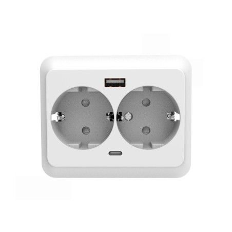 2901001 BASE DOBLE CON TOMA T EMPOTRAR 16A 250V +USB A Y B F-BRIGHT