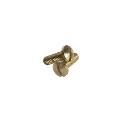 W1 JUEGO 2 TORNILLOS LATON CON RANURA M4 Ø7X12 MM