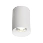 10301 FOCO SUPERFICIE ALUMINIO 1xGU10 ERYX BLANCO 10301 FOCO SUPERFICIE ALUMINIO 1xGU10 ERYX BLANCO