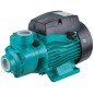 PG-60 BOMBA PERIFERICA 0,5 HP 0,37KW IP44 GUT