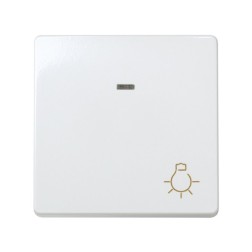 27161-65 -PULSADOR LUZ BL- NIEVE