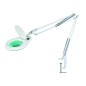 1950070 FLEXO LUPA MUELLE T5 22W BLANCO