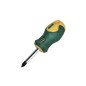 DPH202 DESTORNILLADOR PHILIPS 2x25mm MOTA