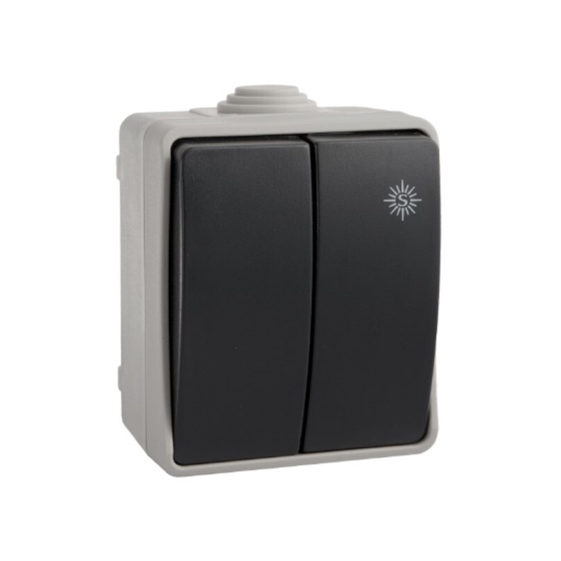 3313 DOBLE CONMUTADOR-INTERRUPTOR ESTANCO IP54 SOLERA