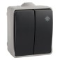 3313 DOBLE CONMUTADOR-INTERRUPTOR ESTANCO IP54 SOLERA
