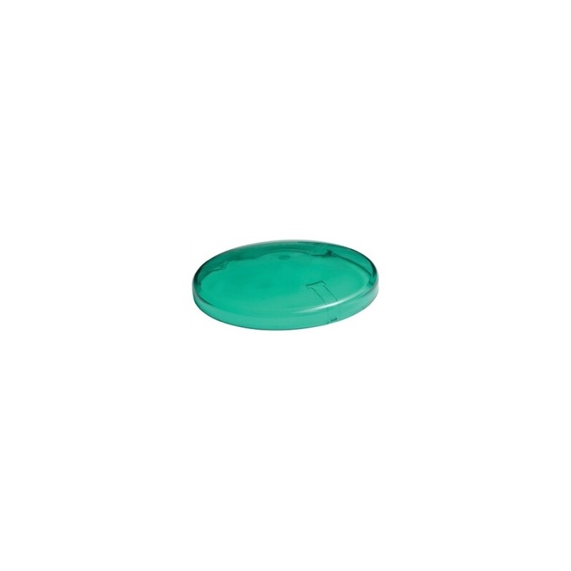00872 FILTRO VERDE P-BOMBILLA PAR38 20x126mm-