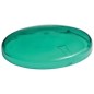 00872 FILTRO VERDE P-BOMBILLA PAR38 20x126mm-