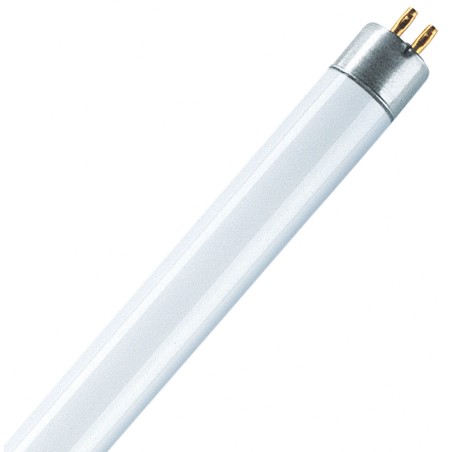 241623 FLUORESCENTE T5 8W 4000ºK 305mm OSRAM
