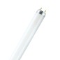 10181 TUBO FLUORESCENTE T8 15W 6500K 450mm CLAR
