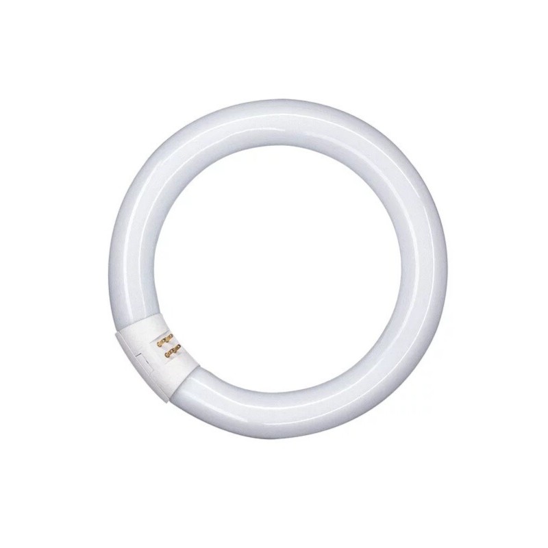 581068 FLUORESCENTE CIRCULAR 22W 2700K OSRAM 581068 FLUORESCENTE CIRCULAR 22W 2700K OSRAM