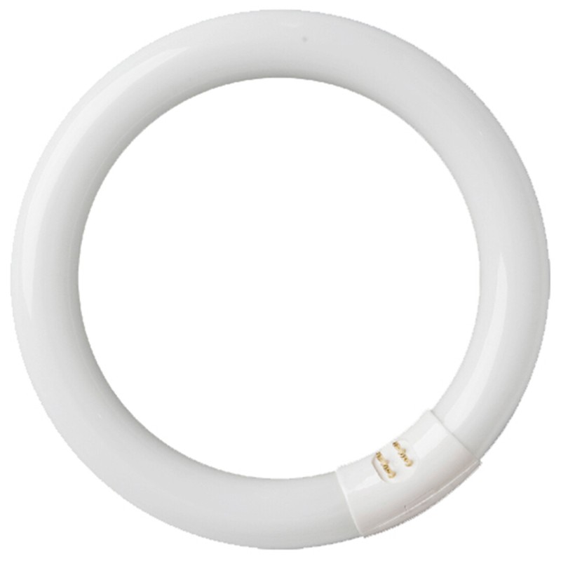 200800007 FLUORESCENTE CIRCULAR T9 6400K 22W GSC 200800007 FLUORESCENTE CIRCULAR T9 6400K 22W GSC