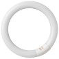 200800007 FLUORESCENTE CIRCULAR T9 6400K 22W GSC 200800007 FLUORESCENTE CIRCULAR T9 6400K 22W GSC