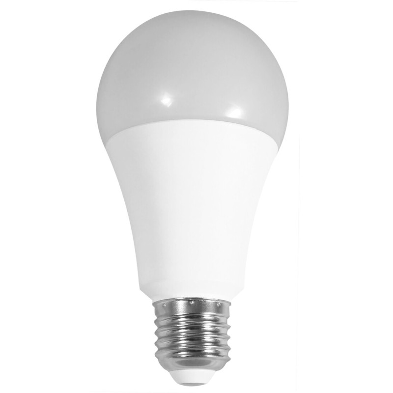81-196-24-CAL LAMPARA STANDARD LED 24W E27 3000K A70 ELECTRO DH