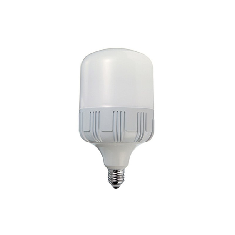 L3064HP5 LAMPARA LED ALTA POTENCIA 24W E27 6400K DURALAMP