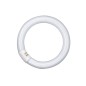 581129 FLUORESCENTE CIRCULAR 32W 2700K OSRAM 581129 FLUORESCENTE CIRCULAR 32W 2700K OSRAM