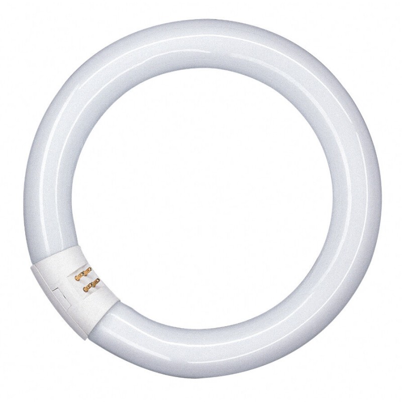 581143 FLUORESCENTE CIRCULAR 32W 4000K OSRAM 581143 FLUORESCENTE CIRCULAR 32W 4000K OSRAM