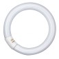 581143 FLUORESCENTE CIRCULAR 32W 4000K OSRAM 581143 FLUORESCENTE CIRCULAR 32W 4000K OSRAM