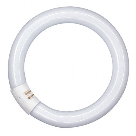 014845 FLUORESCENTE CIRCULAR 40W 4000K OSRAM