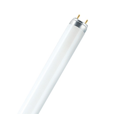 010533 FLUORESCENTE NATURA OSRAM 58W-76