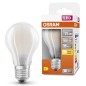 115910 LAMPARA STANDARD FIL LED MATE 8W 2700K