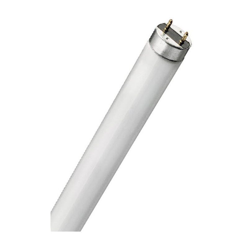 001601248 TUBO FLUORESCENTE INSECTICIDA 15W T8 45cm