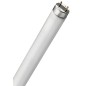 001601248 TUBO FLUORESCENTE INSECTICIDA 15W T8 45cm