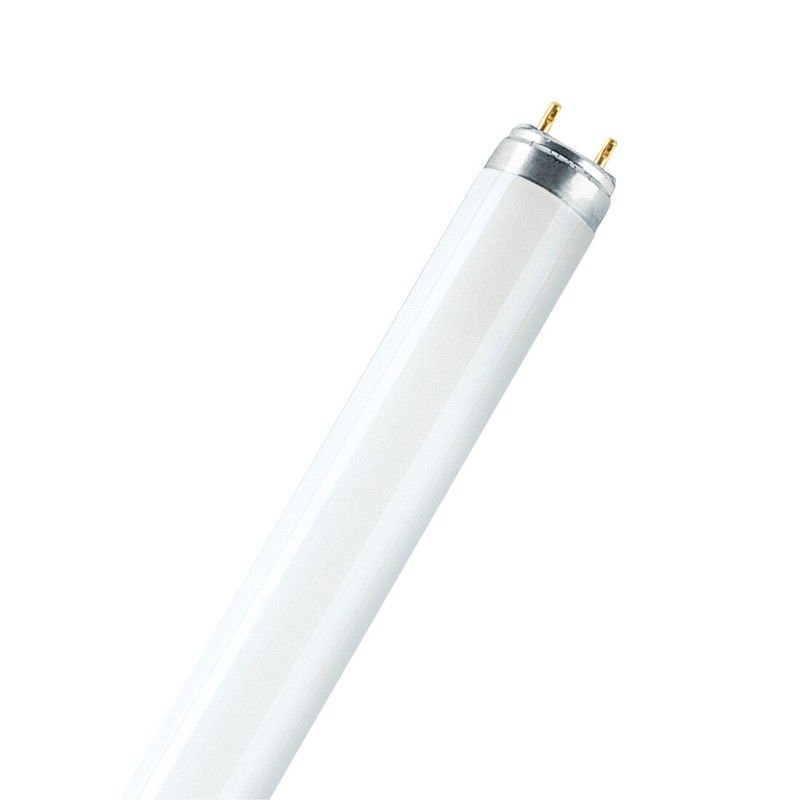 8000014 FLUORESCENTE T8 58W 6400K ø1500mm GSC