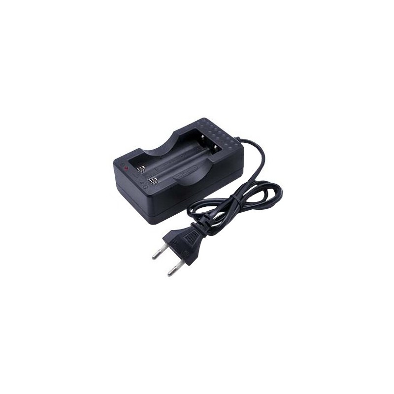 9000188 CARGADOR PILAS 2x18650 PARA 4880158