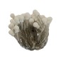 29953-50 GUIRNALDA LUCES DE CADENA LED VENUTO PLATA 4,9m IP20