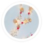 204690032 GUIRNALDA LED CUERDA ESTRELLAS PIÑAS Y BAYAS ROJAS 1,8mts LUZ CALIDA 20 LEDS GSC