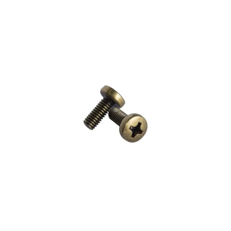 W204K JUEGO 2 TORNILLOS M4X10 CUERO