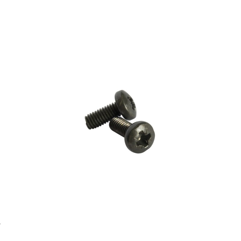 W204N JUEGO 2 TORNILLOS M4X10 NEGRO