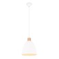 R30681031 LAMPARA COLGANTE 1xE27 IP20 150cm BLANCO JAGGER TRIO