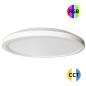 2801577 PLAFON LED SUPERFICIE 50W 5480Lm 500x25mm CCT+RGB CON MANDO F-BRIGHT