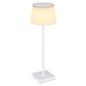 58434W LAMPARA SOBREMESA LED 4W 310Lm IP44 RECARGABLE BLANCA GREGOIR GLOBO