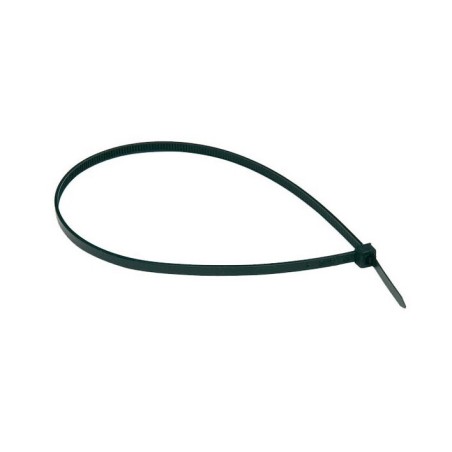 0901320 25ud BRIDAS NYLON NEGRAS 2,5x160mm